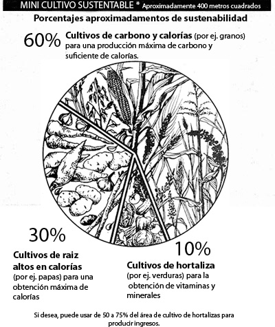 The 60-30-10 crop ratio used in the GROW BIOINTENSIVE Method